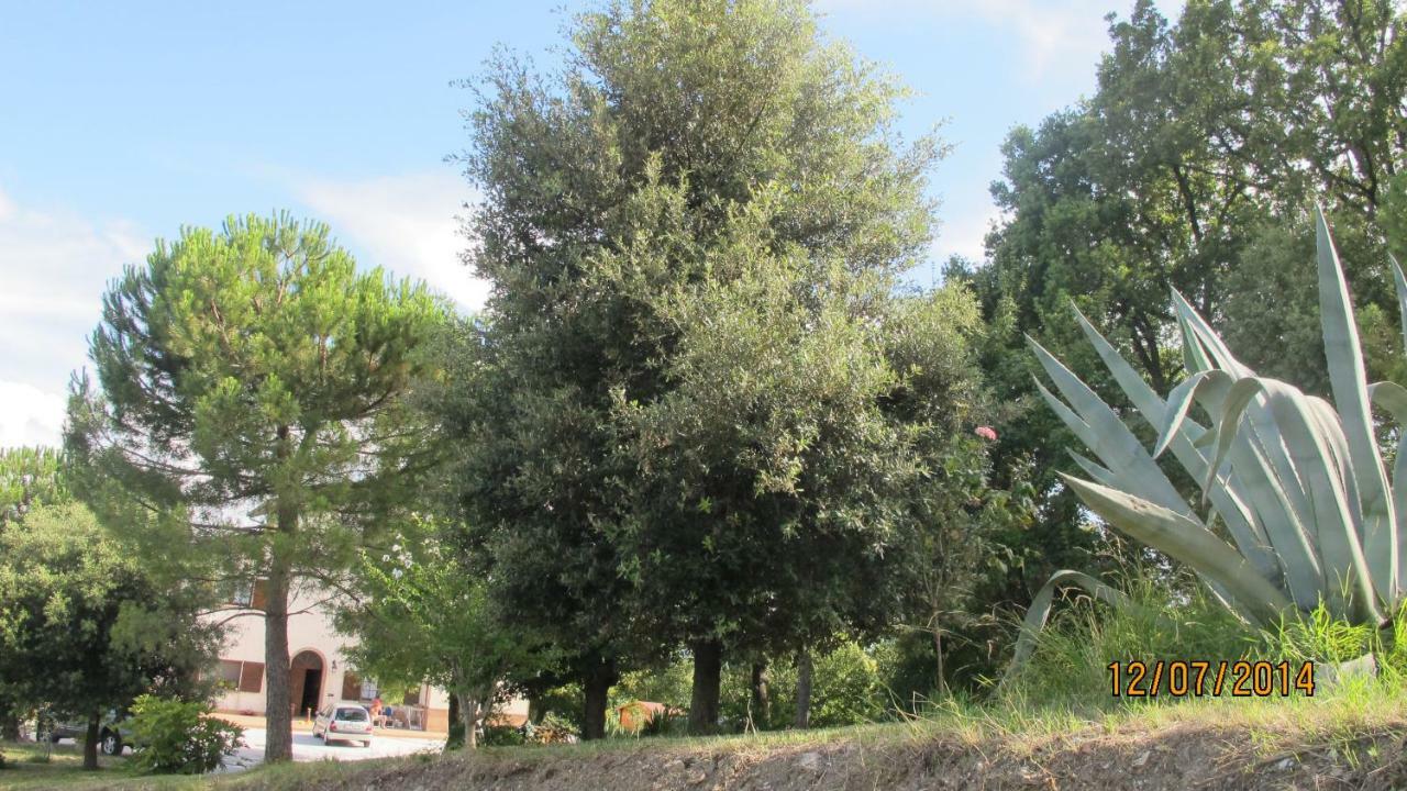 Locanda San Marino Al Coppo Monte Grimano Terme Bagian luar foto
